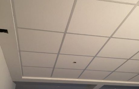 IMG_0264