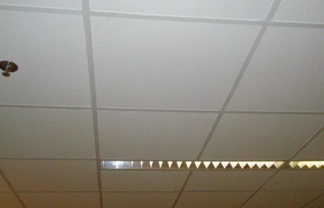 P4230161