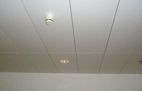 P4230162