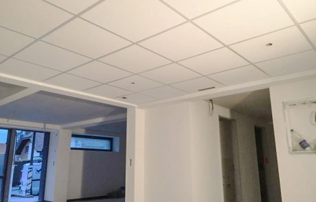 Vogel-Deckensysteme-1007