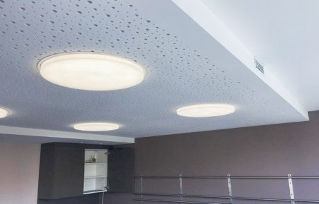 Vogel-Deckensysteme-1008